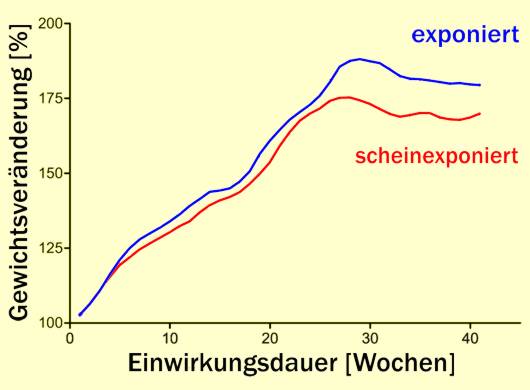 Schon in der Wachstumsphase waren die bestrahlten Mäuse (blaue Kurve) schwerer als die unsbestrahlten (rote Kurve)   Originalgrafik: Biomedcentral 